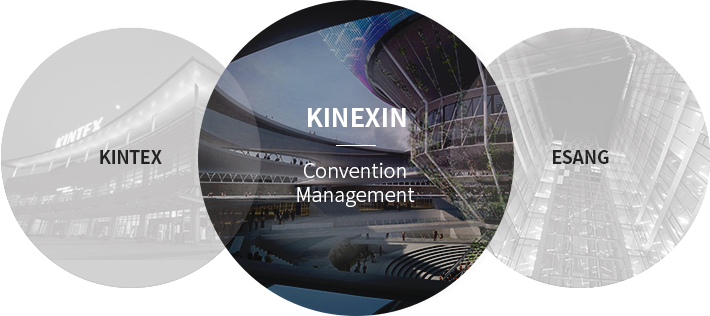 KINEXIN_img_N
