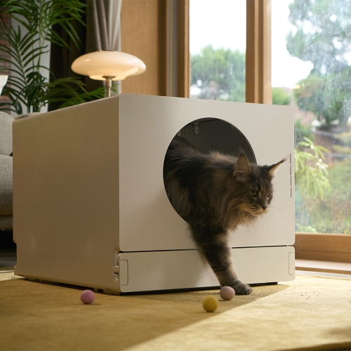 브랜드 라인업업 이미지