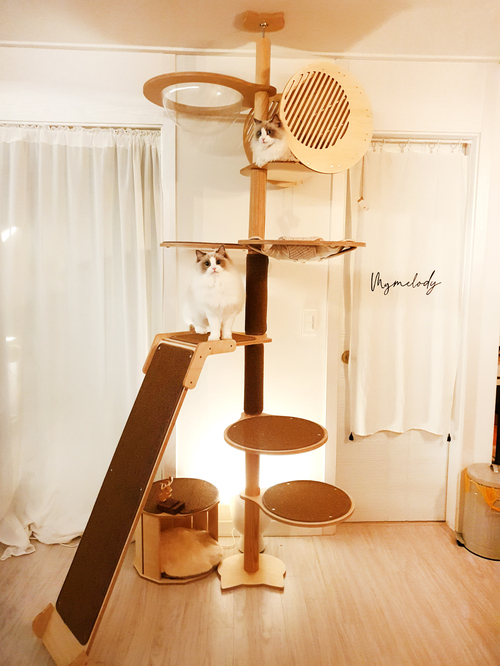 브랜드 라인업업 이미지