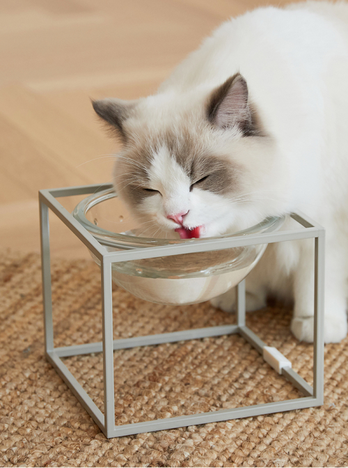 브랜드 라인업업 이미지