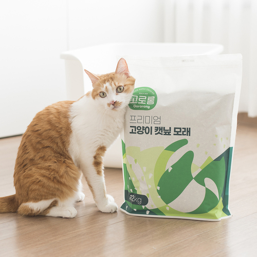 브랜드 라인업업 이미지