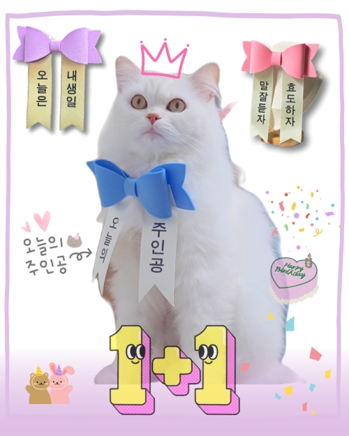 브랜드 라인업 이미지
