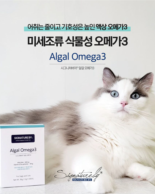 브랜드 라인업업 이미지