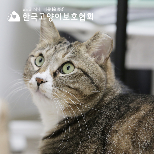 브랜드 라인업업 이미지
