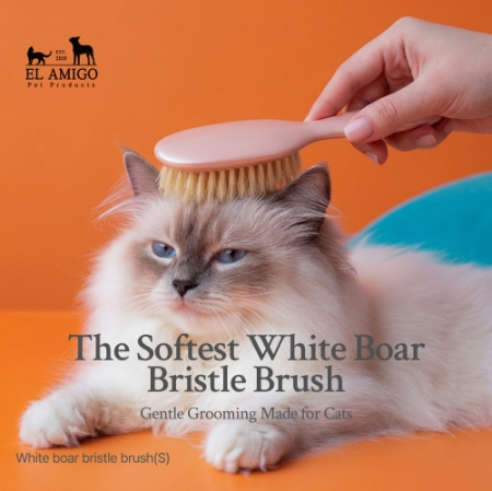 브랜드 라인업 이미지