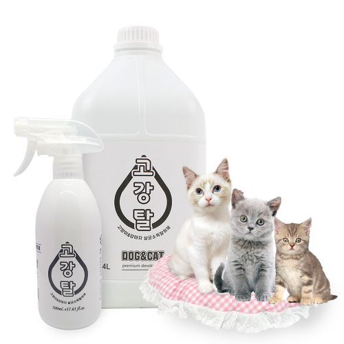 브랜드 라인업업 이미지