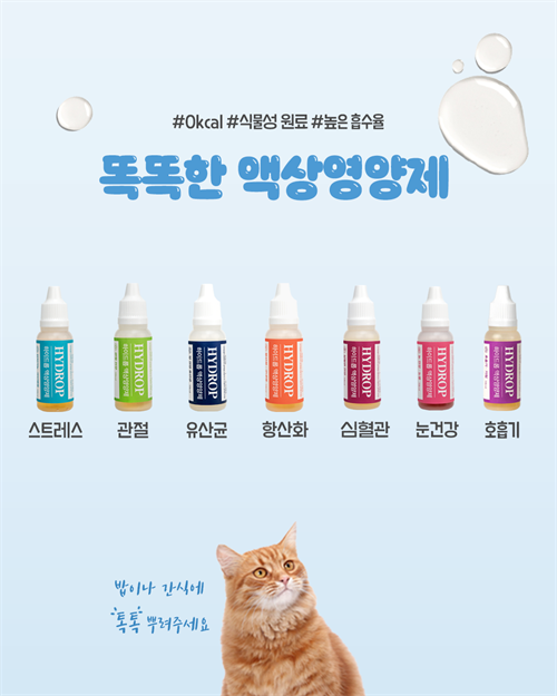 브랜드 라인업업 이미지