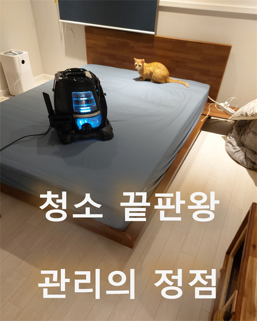 브랜드 라인업업 이미지