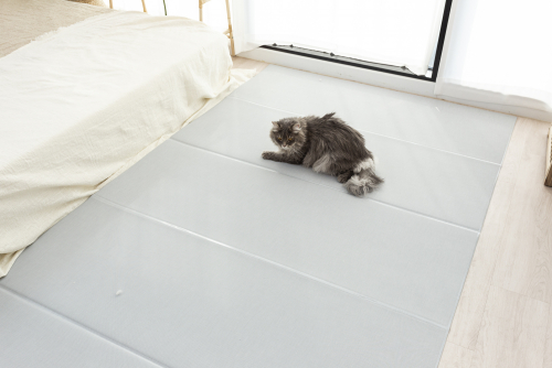 브랜드 라인업업 이미지