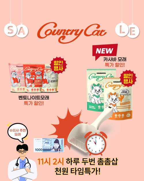 브랜드 라인업 이미지