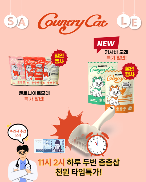 브랜드 라인업 이미지