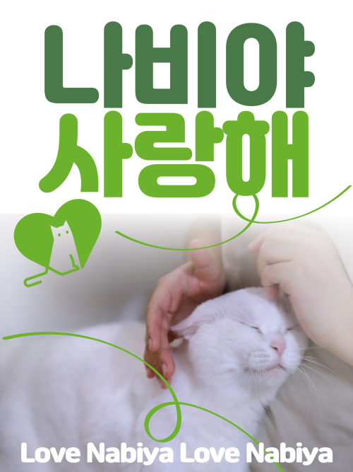 브랜드 라인업업 이미지