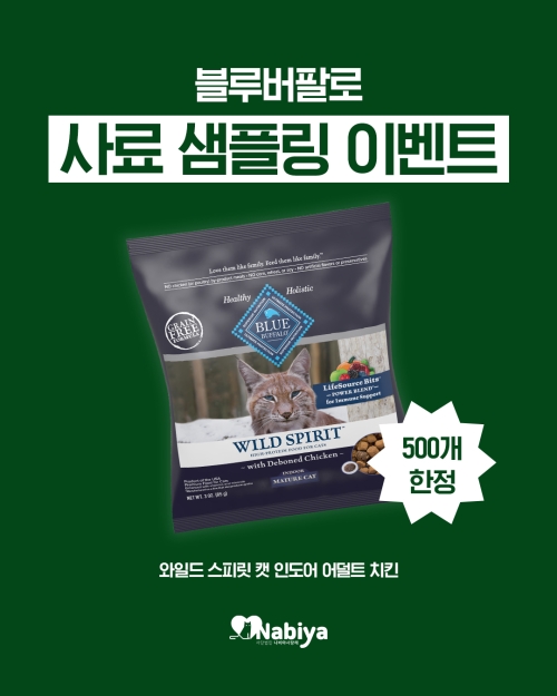 브랜드 라인업 이미지