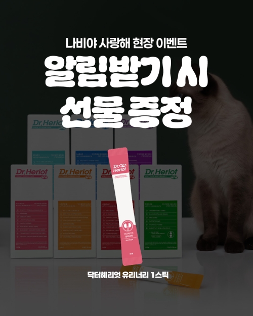 브랜드 라인업 이미지