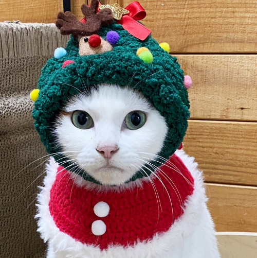 브랜드 라인업업 이미지