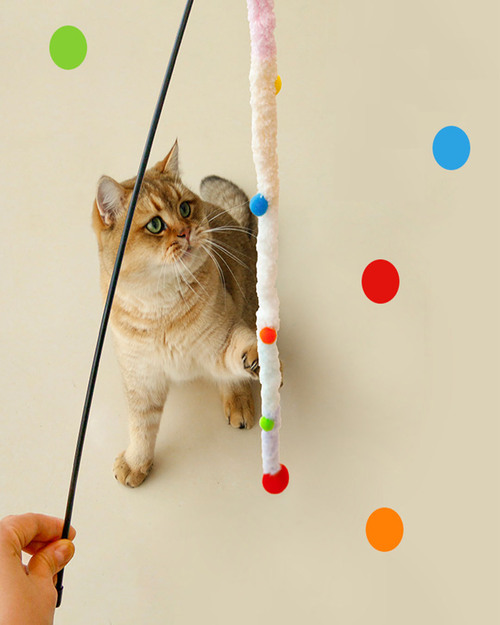 브랜드 라인업업 이미지