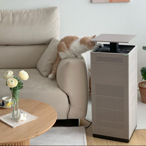 브랜드 라인업업 이미지