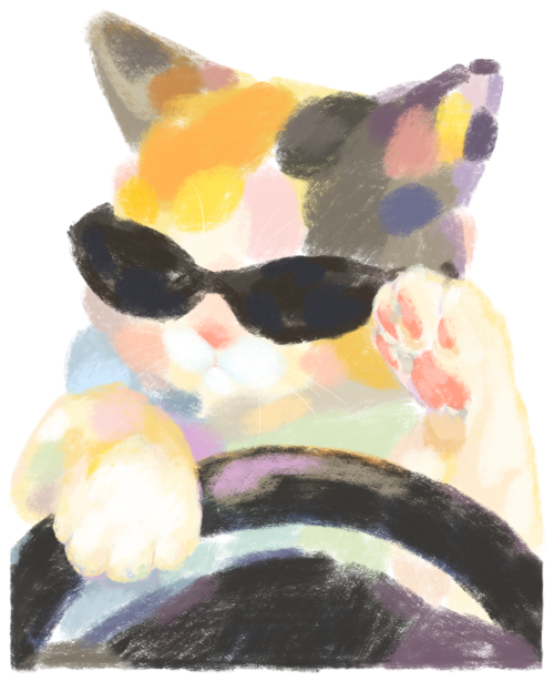 브랜드 라인업업 이미지