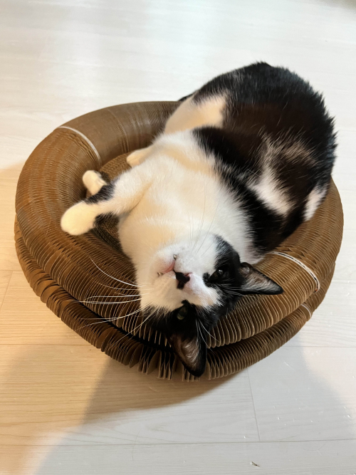 브랜드 라인업업 이미지