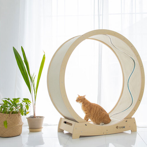 브랜드 라인업업 이미지