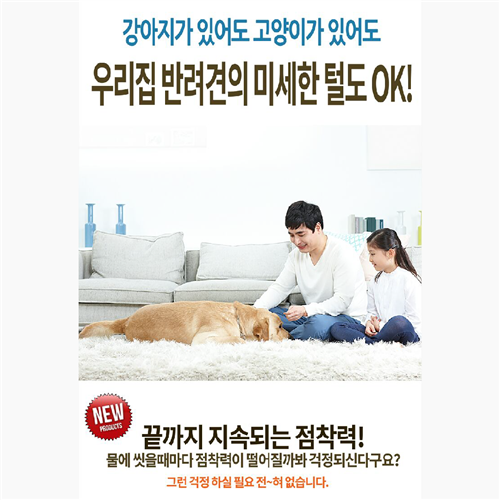 브랜드 라인업업 이미지