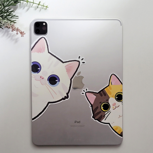 브랜드 라인업업 이미지