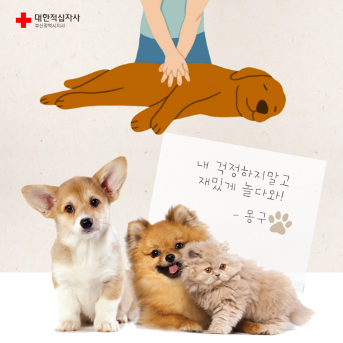 브랜드 라인업업 이미지