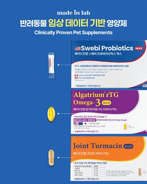 브랜드 라인업업 이미지