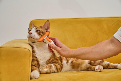 브랜드 라인업업 이미지