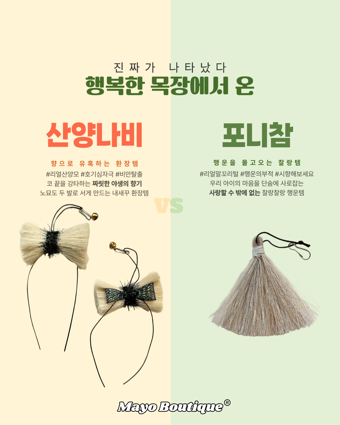 브랜드 라인업업 이미지