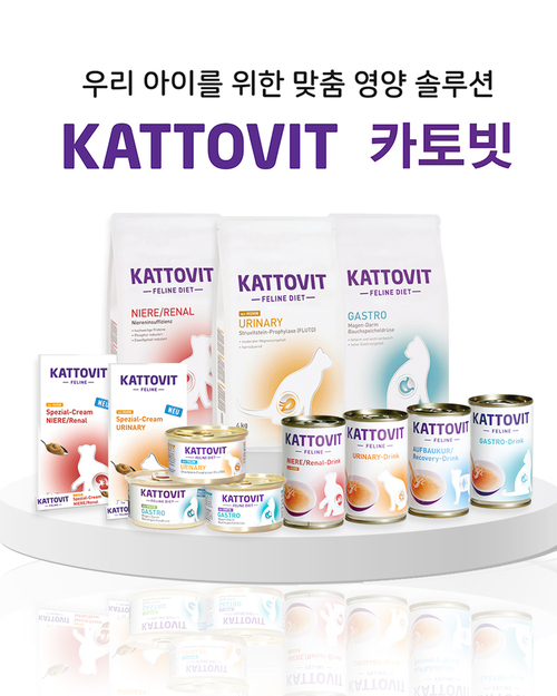 브랜드 라인업업 이미지