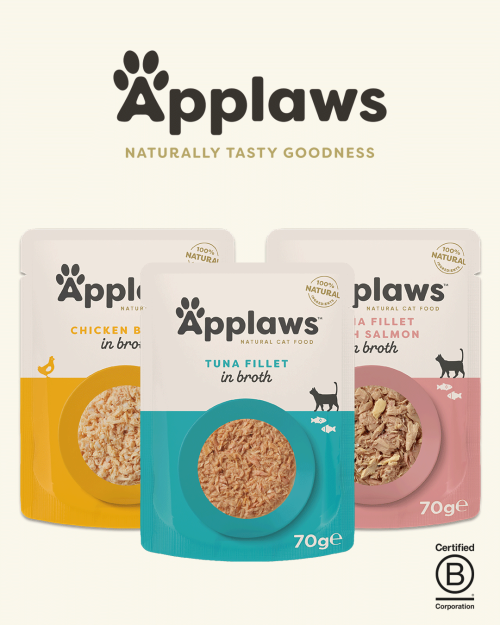 브랜드 라인업업 이미지