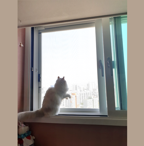 브랜드 라인업업 이미지