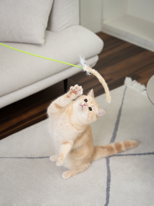 브랜드 라인업업 이미지