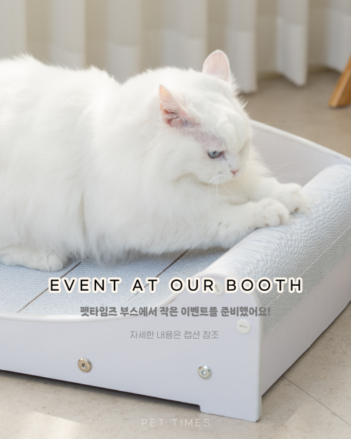 브랜드 라인업 이미지