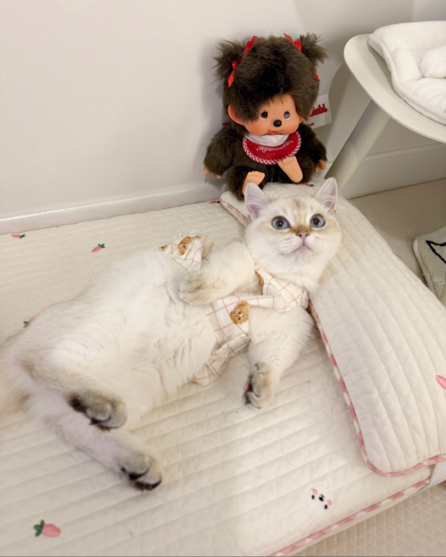 브랜드 라인업 이미지