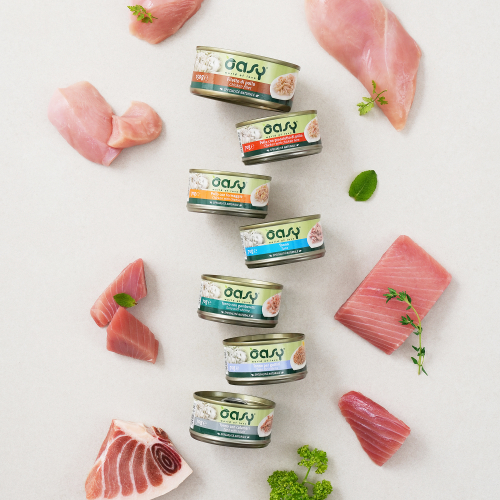 브랜드 라인업업 이미지