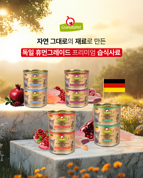 브랜드 라인업업 이미지