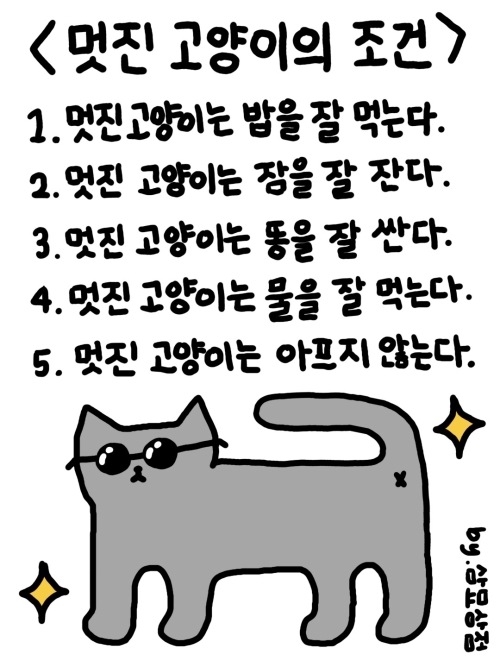 브랜드 라인업업 이미지