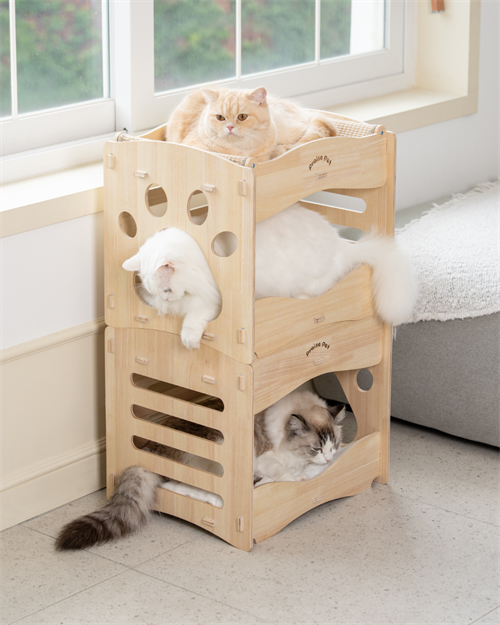 브랜드 라인업업 이미지