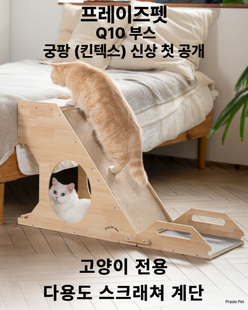 브랜드 라인업 이미지
