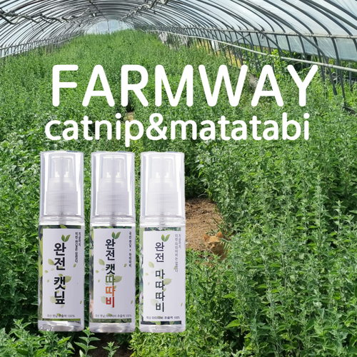 브랜드 라인업업 이미지