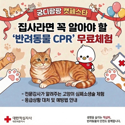 브랜드 라인업 이미지