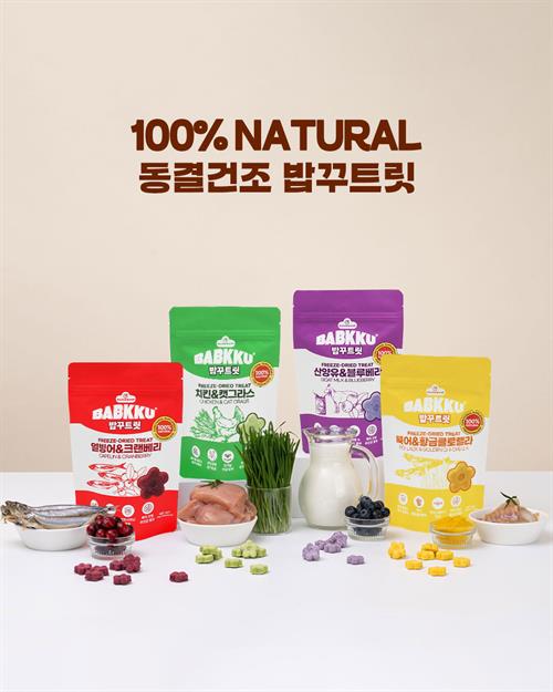 브랜드 라인업업 이미지