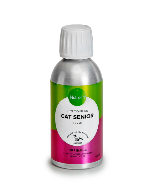 브랜드 라인업업 이미지