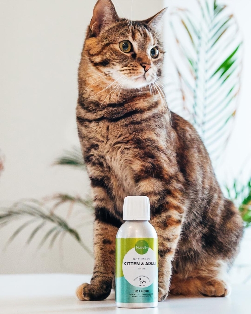 브랜드 라인업 이미지