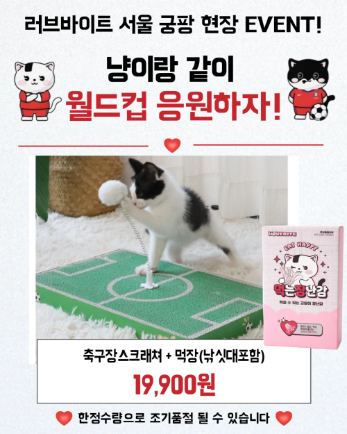 브랜드 라인업 이미지