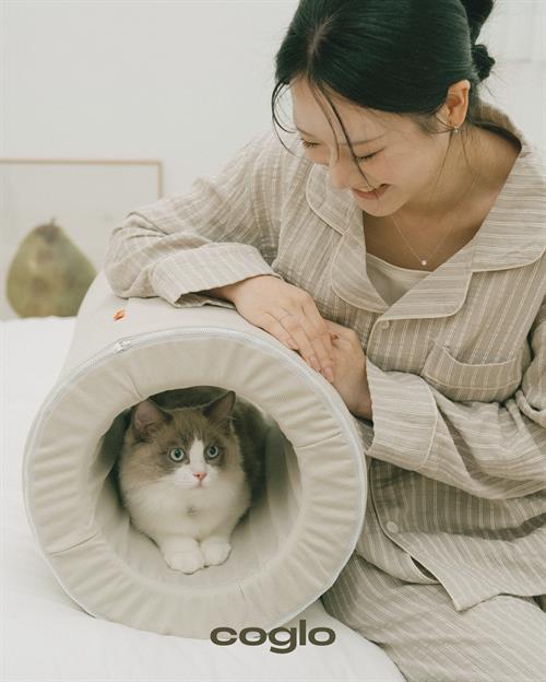 브랜드 라인업업 이미지