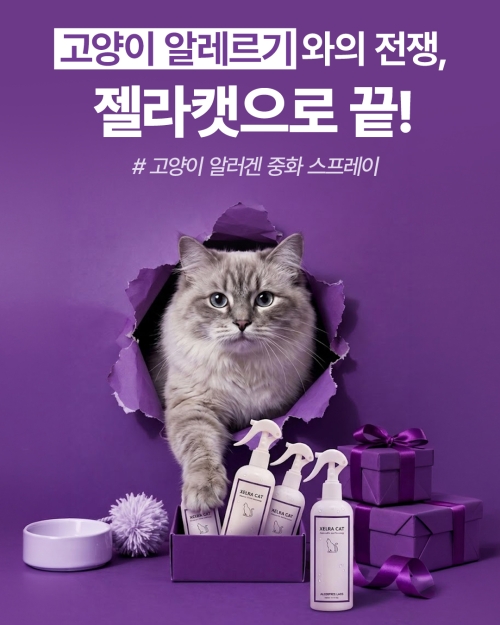 브랜드 라인업 이미지