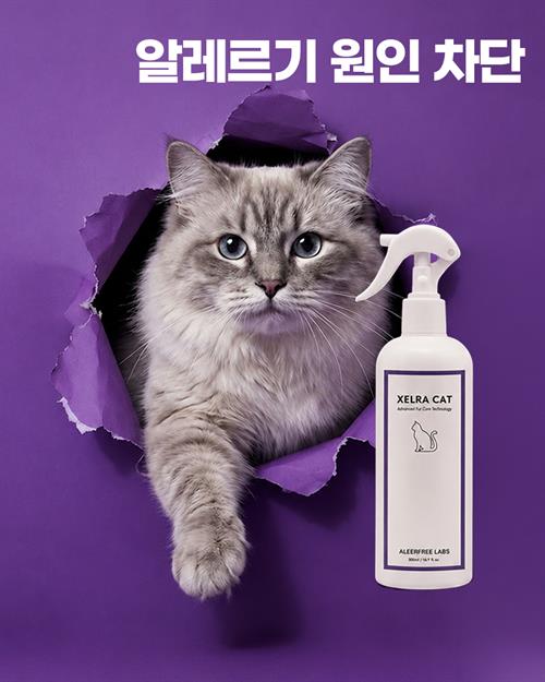 브랜드 라인업업 이미지